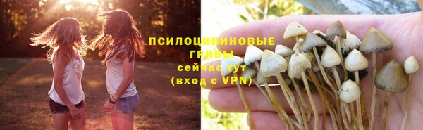 стаф Богородицк