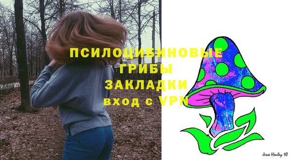 тгк Бородино