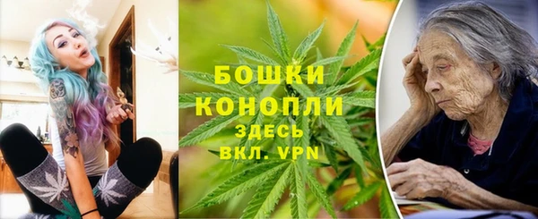 стаф Богородицк