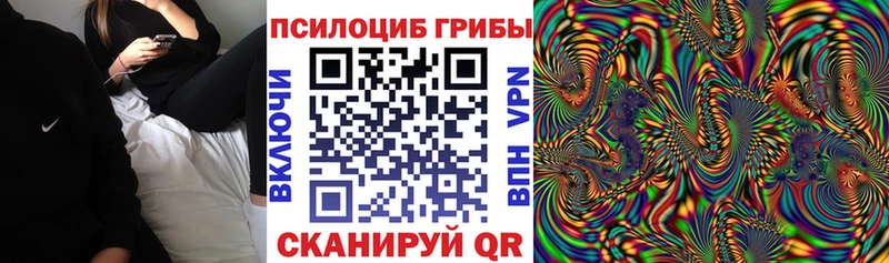 Псилоцибиновые грибы Psilocybine cubensis  Монино 